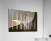 Burst Acrylic Print