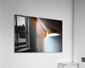 Feathery Acrylic Print