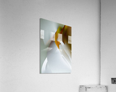 Getting dressed in white Acrylic Print