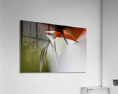Hanging plant Acrylic Print