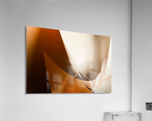 Making a small turn Acrylic Print