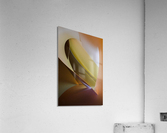 Exotic bird Acrylic Print