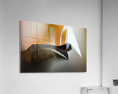 Woodpecker tool Acrylic Print