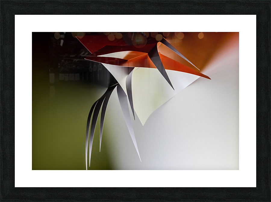Hanging plant Picture Frame print