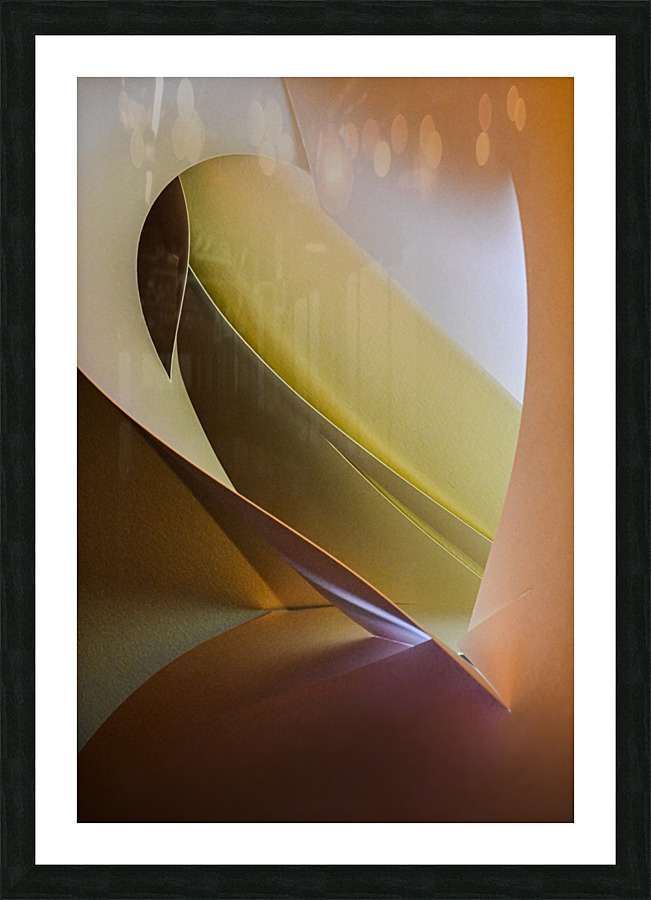 Exotic bird Picture Frame print