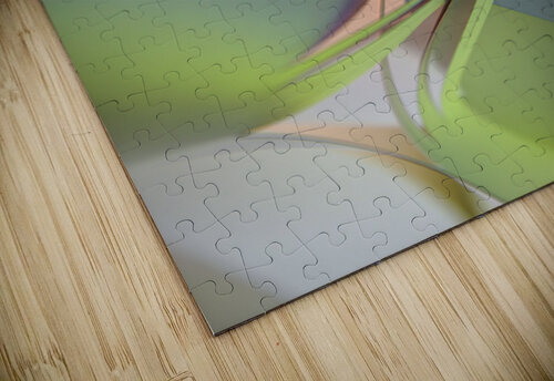 A bit windy at grass level carlos caicedo puzzle