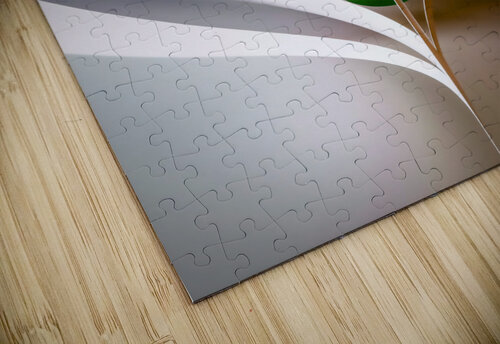 Martini glass carlos caicedo puzzle