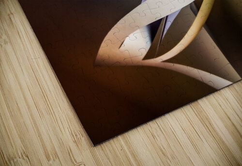 Night flight carlos caicedo puzzle