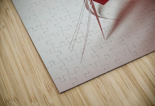 Crawler carlos caicedo puzzle