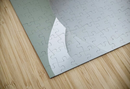 Getting dressed in white carlos caicedo puzzle
