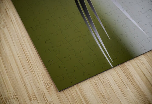 Hanging plant carlos caicedo puzzle