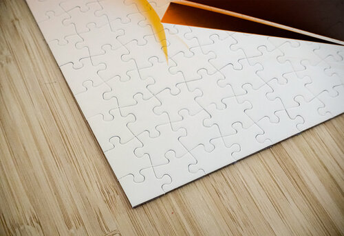 No intended conection carlos caicedo puzzle