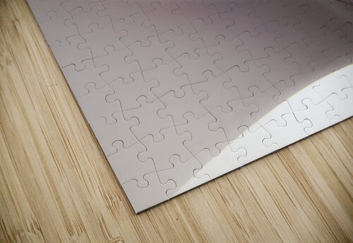 Oculus revamped carlos caicedo puzzle