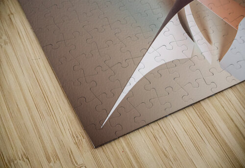 Side projection carlos caicedo puzzle