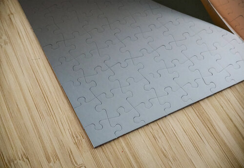 Twist carlos caicedo puzzle