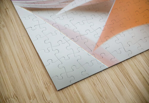 An orange spill carlos caicedo puzzle