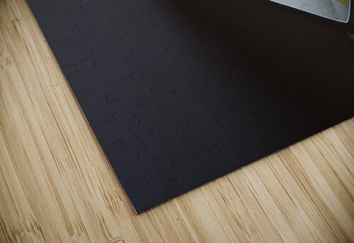 Bouncing colors carlos caicedo puzzle