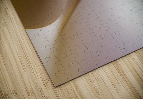 Flag carlos caicedo puzzle