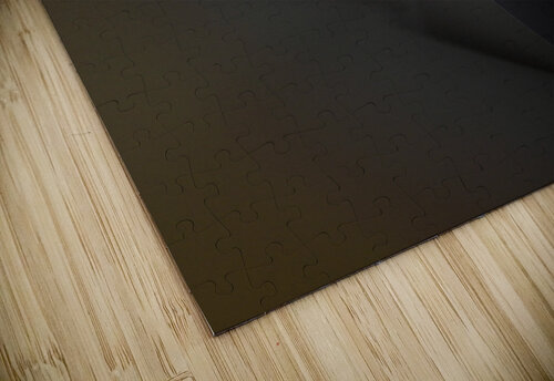 Embraceable light carlos caicedo puzzle