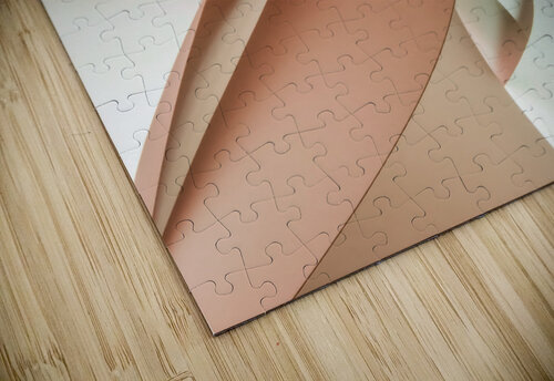 In the nude carlos caicedo puzzle