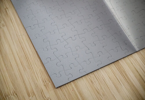 It s a Y carlos caicedo puzzle