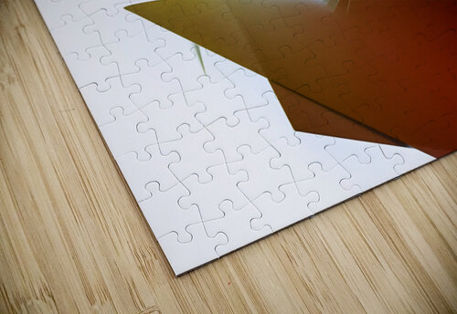 Firebird carlos caicedo puzzle