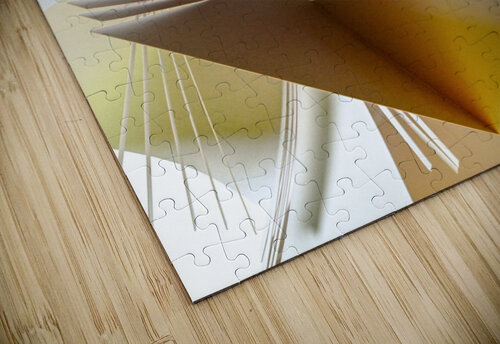 Narcissism carlos caicedo puzzle