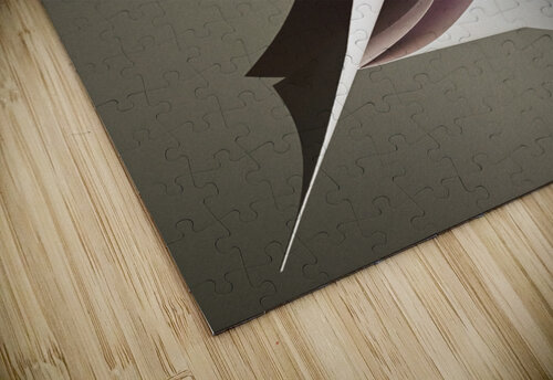Opening new ways carlos caicedo puzzle