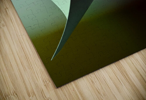 Light collector carlos caicedo puzzle