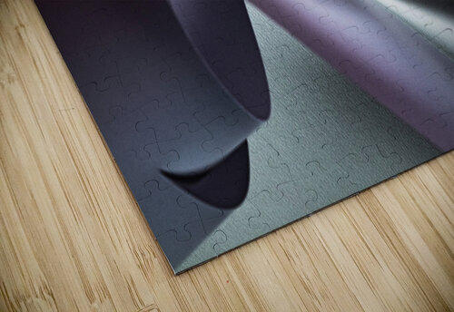 Nocturnal wanderer carlos caicedo puzzle