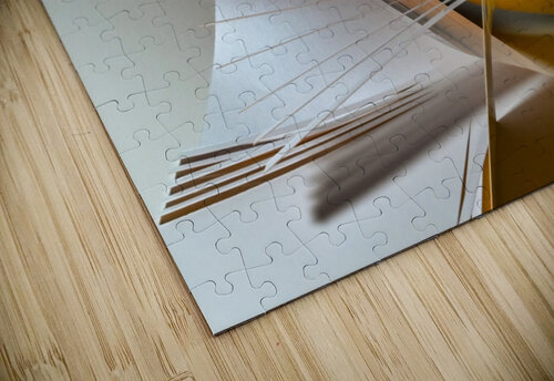 Shark attack carlos caicedo puzzle