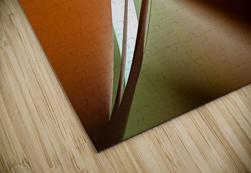 Strings in color carlos caicedo puzzle