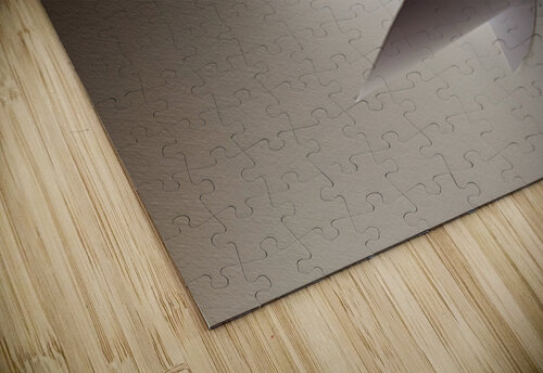 Stiletto carlos caicedo puzzle