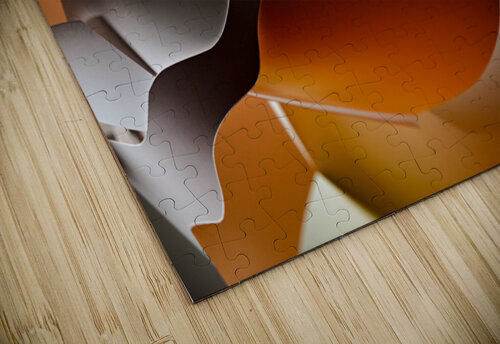 Swimming in gold carlos caicedo puzzle