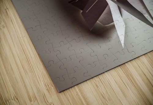 Y is for yes carlos caicedo puzzle