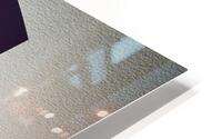 Something fishy HD Metal print