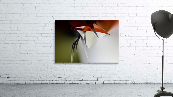 Hanging plant Wall Preview
