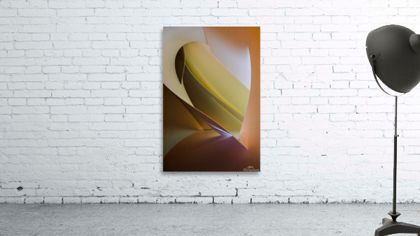 Exotic bird Wall Preview