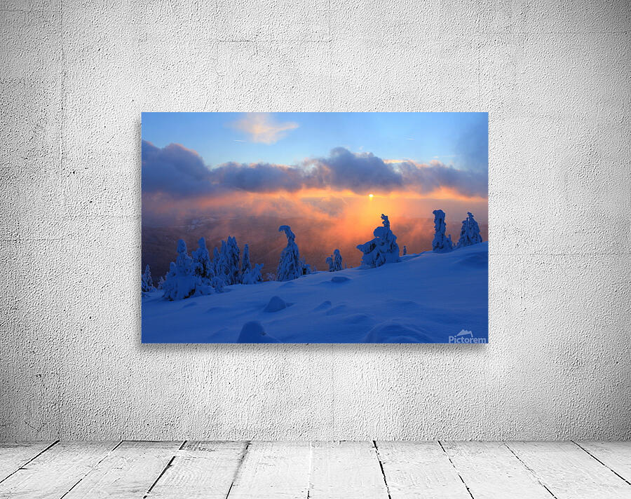 Frozen Snow Ghosts Under a Dramatic Winter Sunset Wall Preview