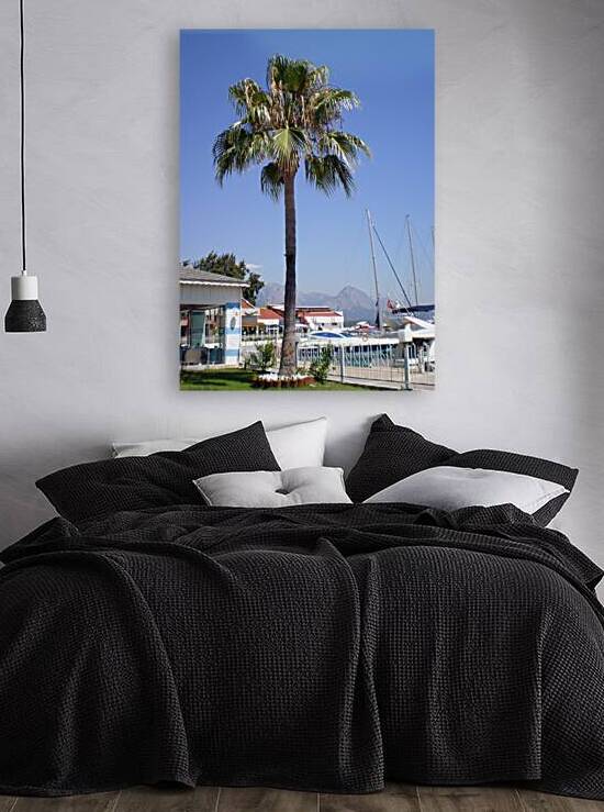 The territory of the yacht club Kemer with a palm and lawn by Vitaliy Borisov