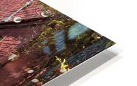 Geyserville CA | 2021 HD Metal print