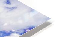 Dundee Hills OR | 2021 HD Metal print