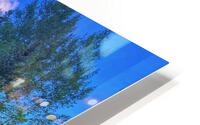 Ouray CO | 2021 HD Metal print