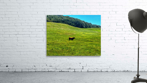 Taylor Lone 23 Wall Preview