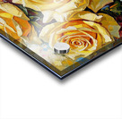 Yellow roses Acrylic print