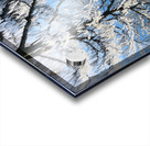 Winter Reflection Acrylic print