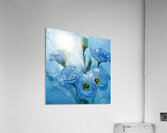 Ice Lisianthus Acrylic Print