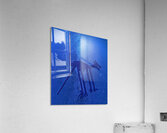 Nazca Dog Acrylic Print