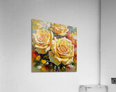 Yellow roses Acrylic Print