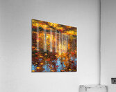Autumn Reflection Acrylic Print